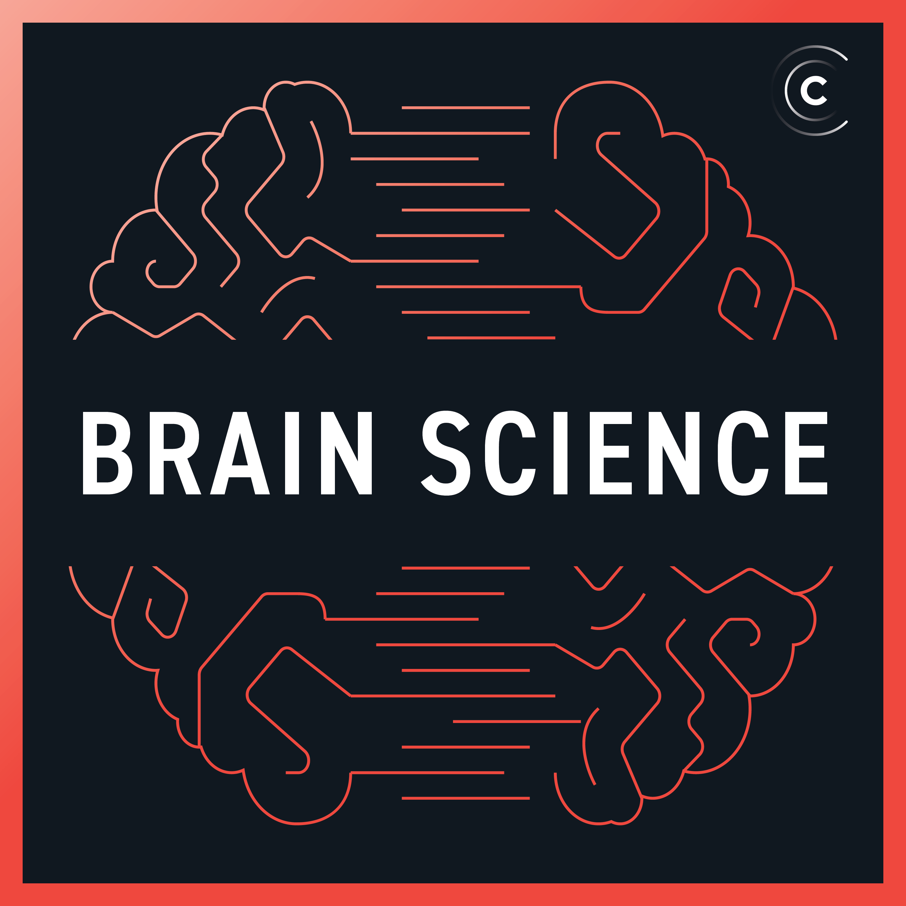 Brain scientist. Стресс мозг. Neuroscience Podcast. Brain story 49 у. Beyond Behaviors using Brain Science.