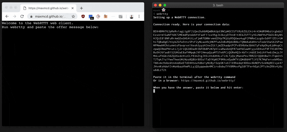 Share a terminal session over WebRTC