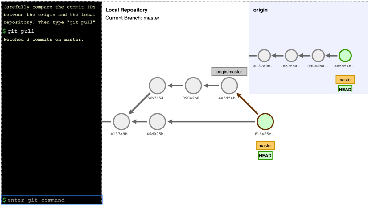 Visualizing Git concepts with D3