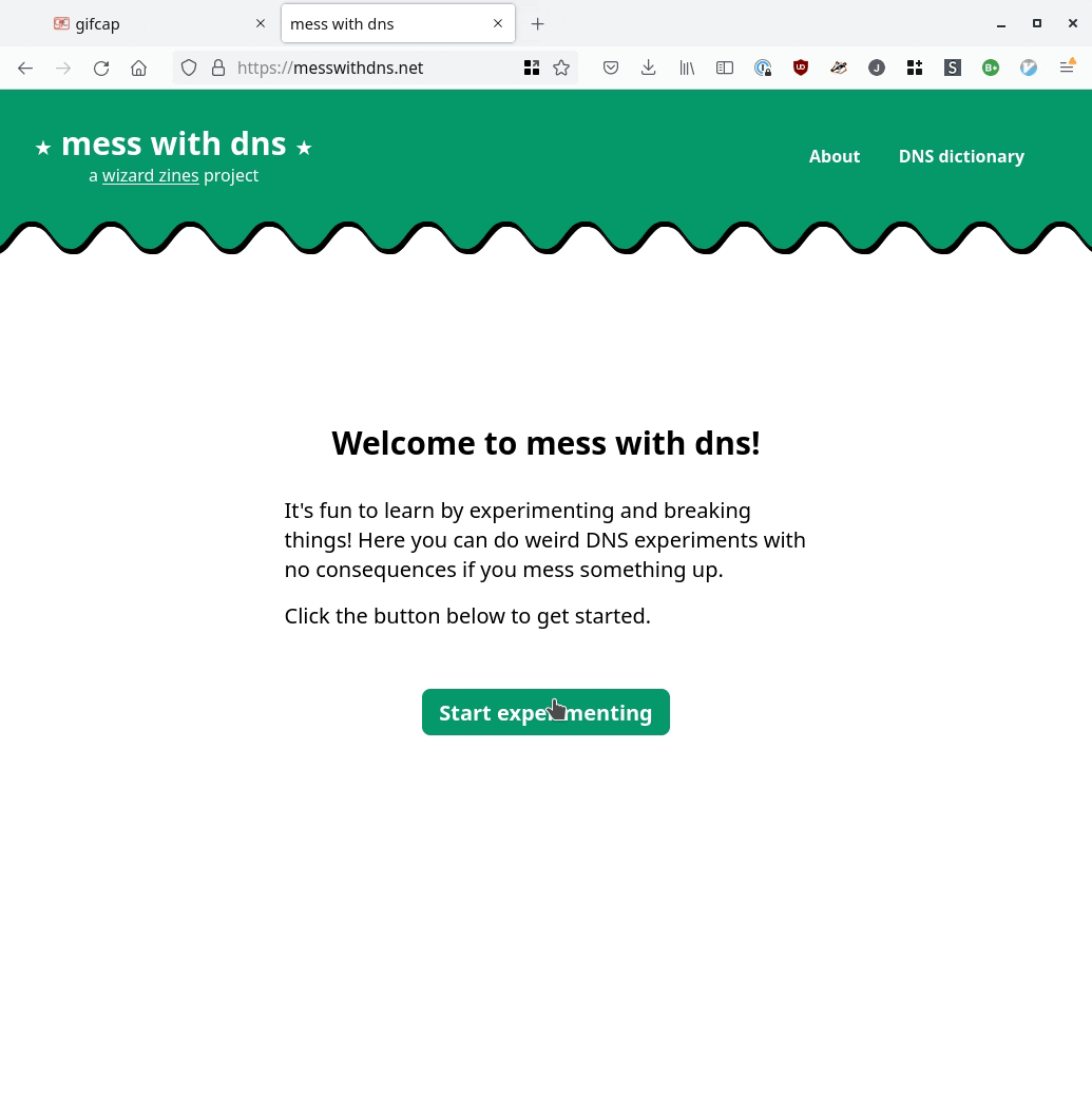 Mess With DNS mess-with-dns